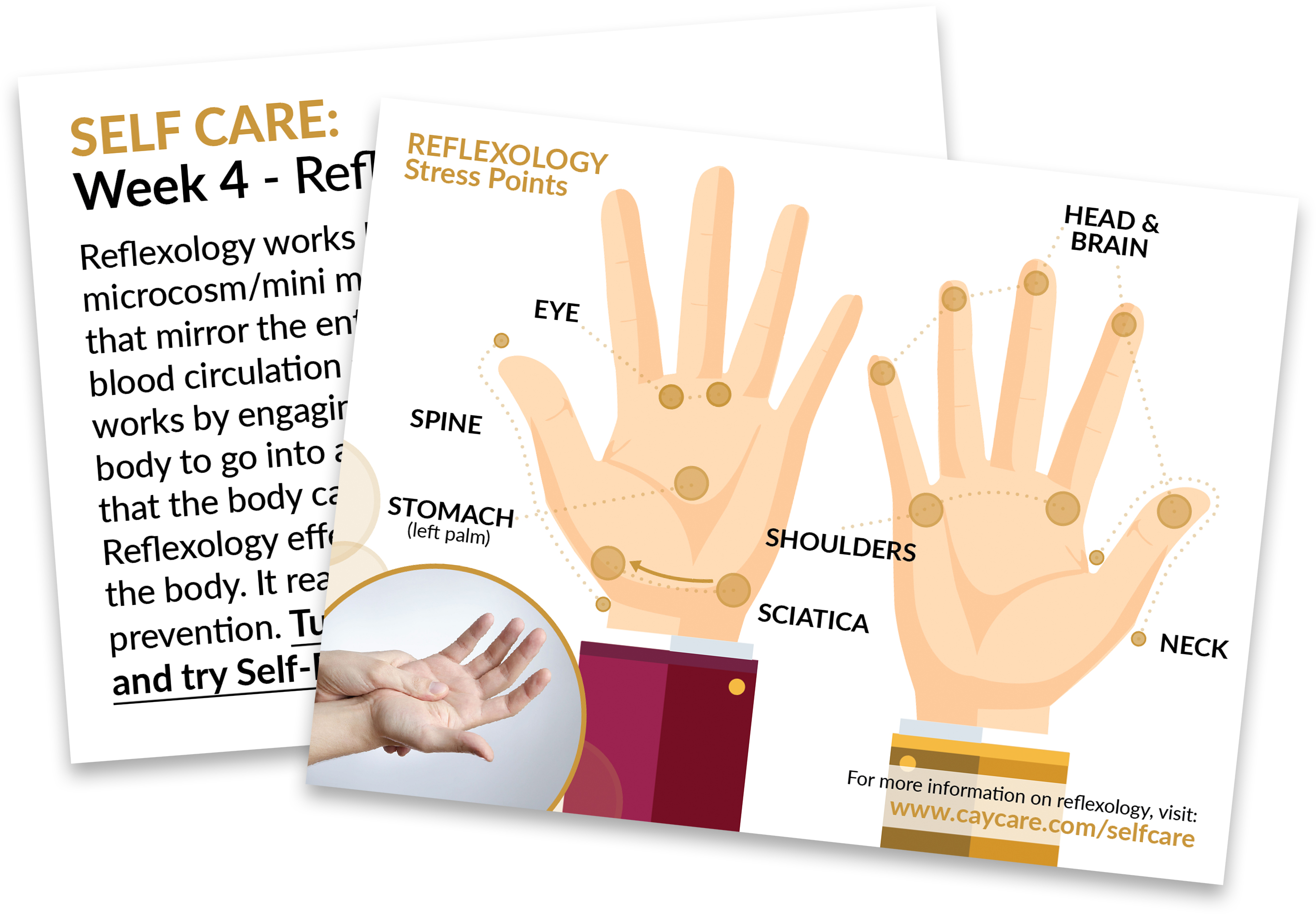 Free chart sexual hand reflexology